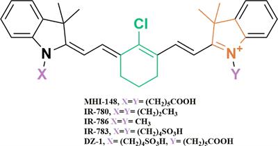 The Use of Heptamethine Cyanine Dyes as Drug-Conjugate Systems in the Treatment of Primary and Metastatic Brain Tumors